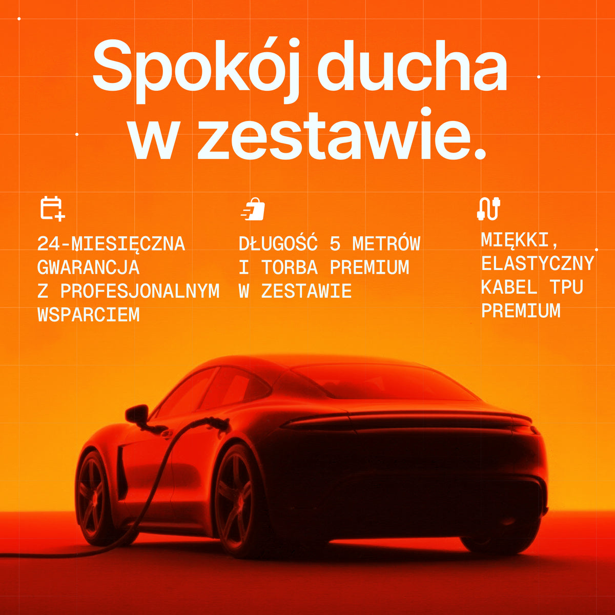 AmperePoint Mamba - spokój ducha, 24 miesiące gwarancji, kabel TPU 5 m i torba premium - grafika po polsku